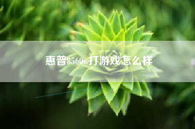 惠普8560w打游戏怎么样
