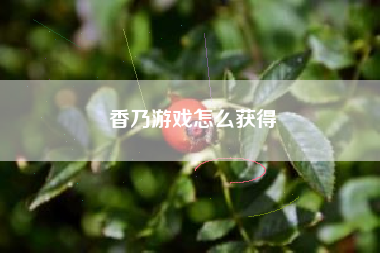 香乃游戏怎么获得