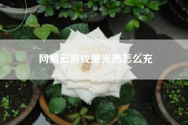 网易云游戏里光遇怎么充