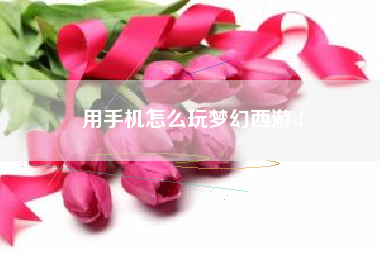 用手机怎么玩梦幻西游sf