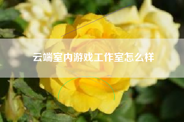 云端室内游戏工作室怎么样