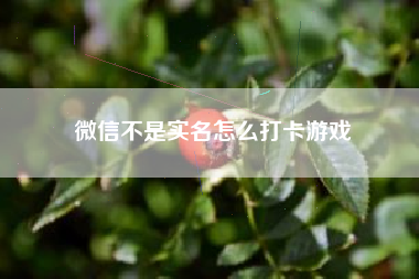 微信不是实名怎么打卡游戏
