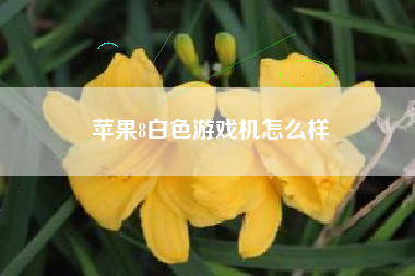 苹果8白色游戏机怎么样