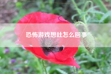 恐怖游戏想吐怎么回事