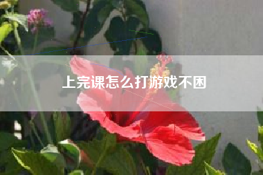 上完课怎么打游戏不困
