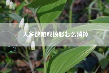大多数游戏愤怒怎么消掉