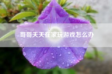 哥哥天天在家玩游戏怎么办