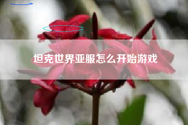 坦克世界亚服怎么开始游戏