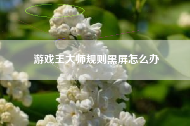 游戏王大师规则黑屏怎么办