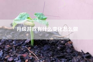 升级游戏有什么变化怎么做