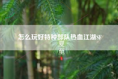 怎么玩好特种部队热血江湖SF