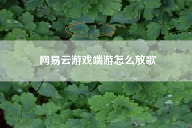 网易云游戏端游怎么放歌