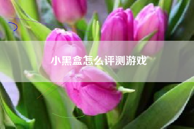 小黑盒怎么评测游戏