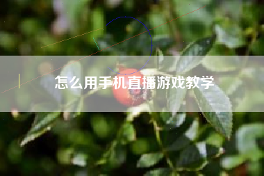 怎么用手机直播游戏教学