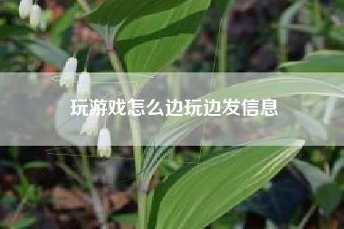 玩游戏怎么边玩边发信息