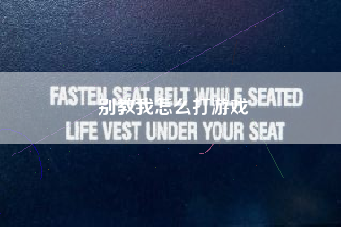 别教我怎么打游戏