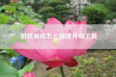 游戏搬砖怎么快速升级工具