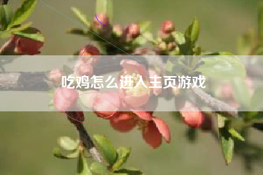 吃鸡怎么进入主页游戏