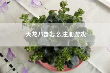 天龙八部怎么注册游戏