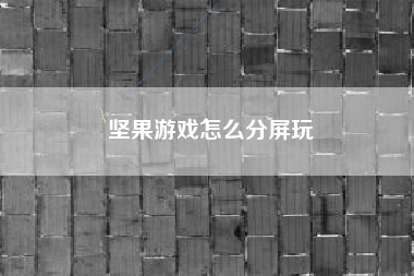 坚果游戏怎么分屏玩