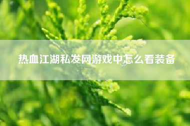 热血江湖私发网游戏中怎么看装备