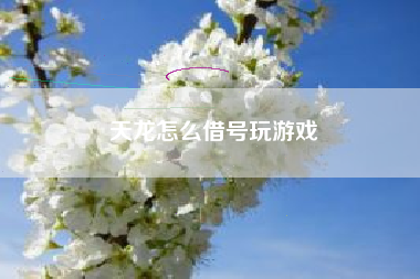 天龙怎么借号玩游戏