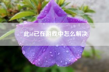此id已在游戏中怎么解决