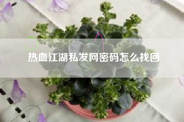 热血江湖私发网密码怎么找回