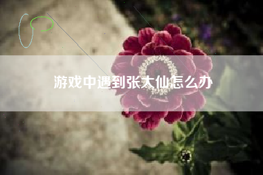 游戏中遇到张大仙怎么办