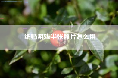 纸婚游戏半张照片怎么用