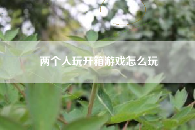 两个人玩开箱游戏怎么玩