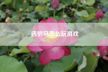 选驸马怎么玩游戏