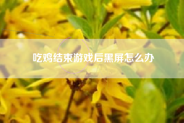 吃鸡结束游戏后黑屏怎么办