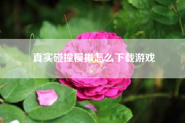 真实碰撞模拟怎么下载游戏