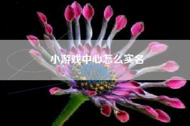 小游戏中心怎么实名