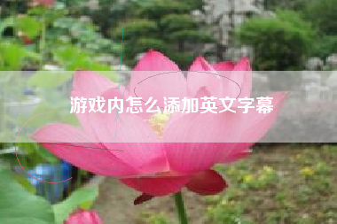 游戏内怎么添加英文字幕