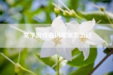 文字游戏曲折那里怎么过