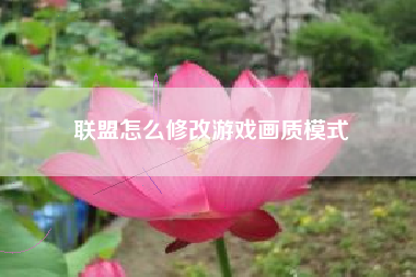 联盟怎么修改游戏画质模式