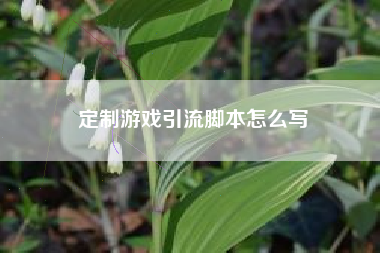 定制游戏引流脚本怎么写
