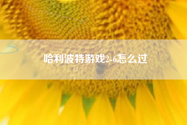 哈利波特游戏2-6怎么过