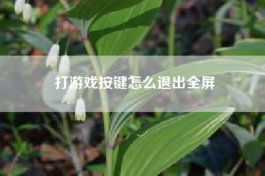 打游戏按键怎么退出全屏