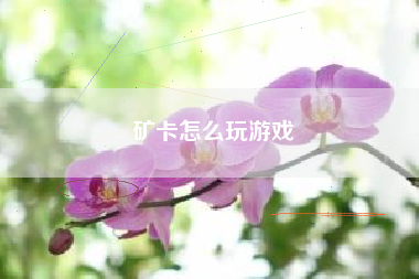 矿卡怎么玩游戏