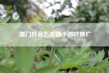 厦门抖音怎么做小游戏推广