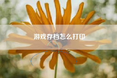 游戏存档怎么打印