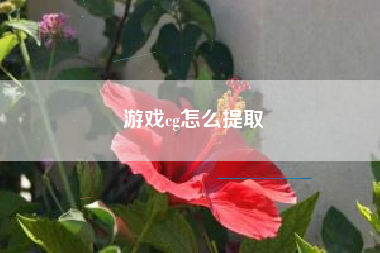 游戏cg怎么提取