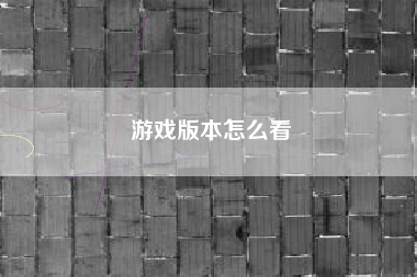 游戏版本怎么看