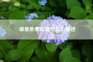 谁是卧底玩游戏怎么描述