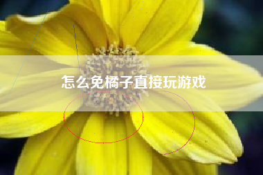 怎么免橘子直接玩游戏