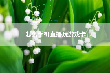 怎么手机直播玩游戏卡