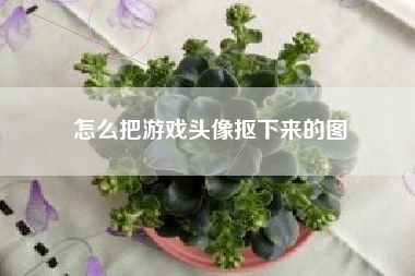 怎么把游戏头像抠下来的图